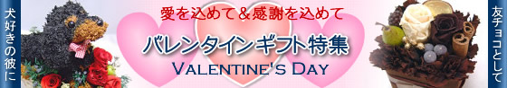 �o�����^�C���f�[�E��D���Ȑl�ցE�����b�ɂȂ��Ă������