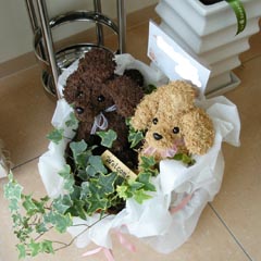 ���q�l���璸�����摜