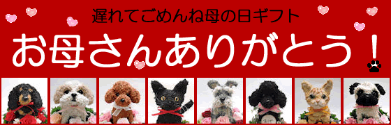 犬好き猫好きの母の日フラワーギフト