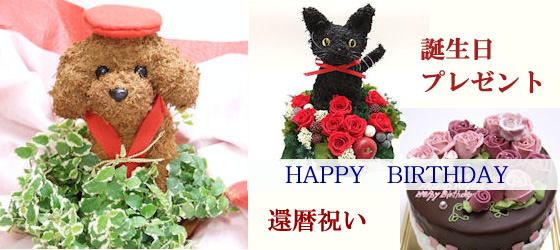 猫好き、犬好きの人のお誕生日プレゼント・還暦祝い・お誕生日のプリザーブドフラワーアレンジ