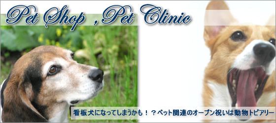 �����a�@�J�@�j�E�y�b�g�V���b�v�J�X�j�E�h�b�O�J�t�F�J�X�j