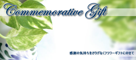 ���j���̂��Ԃ��E�ސE�̂���̕i�E�L�O�Ɏc�鑡�蕨