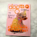 DOG�P�v���X