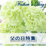 ���̓��M�t�g���W