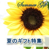 �ẴM�t�g�E�������E����������